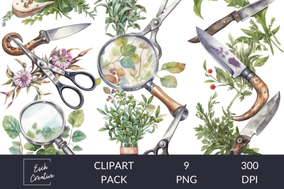 Herbalist Tools Watercolor Clipart: A Natural Touch for Your Designs