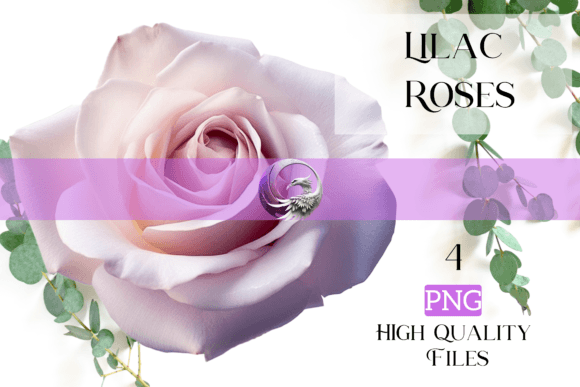 Lilac Roses: A Fresh Take on Floral Design Assets